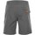 Kleidung Herren Shorts / Bermudas Peak Mountain Short de randonnée homme CUAD Grau