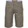 Kleidung Jungen Shorts / Bermudas Harry Kayn Bermuda garçon ECREGARY Grün