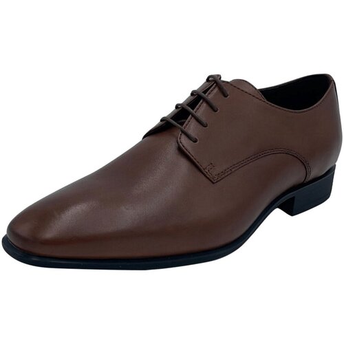 Schuhe Herren Derby-Schuhe & Richelieu Geox Business U0299B-00043/C6026 Braun