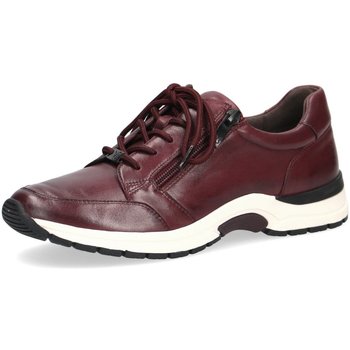 Schuhe Damen Derby-Schuhe & Richelieu Caprice Schnuerschuhe 9-9-23755-29/552 Rot