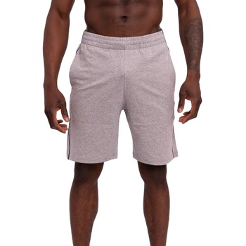 Kleidung Herren Shorts / Bermudas Champion  Grau