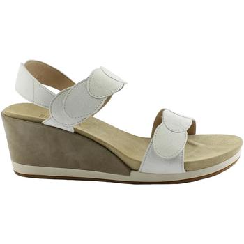 Schuhe Damen Sandalen / Sandaletten Benvado BEN-RRR-43007001-WH Weiss