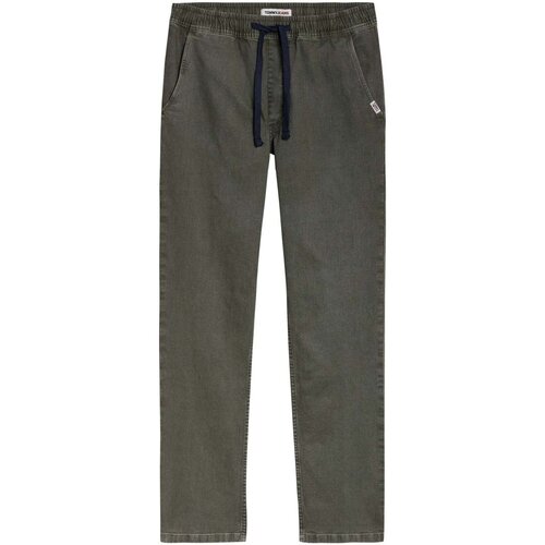 Kleidung Herren Hosen Tommy Jeans DM0DM12762 Grün