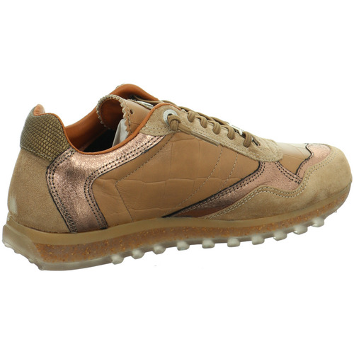 Cetti Schnuerschuhe C848 coco canna C848 coco canna Beige