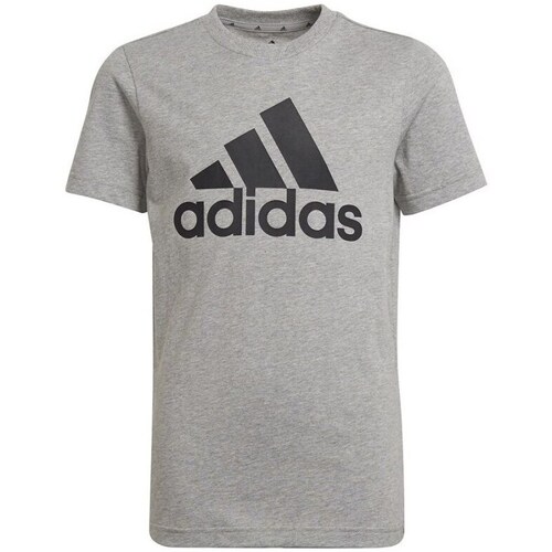 Kleidung Jungen T-Shirts adidas Originals Essentials Tee JR Grau