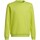 Kleidung Mädchen Sweatshirts adidas Originals Entrada 22 Sweat Top Grün