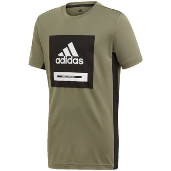 Kleidung Kinder T-Shirts & Poloshirts adidas Originals FM1698 Grün
