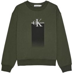 Kleidung Jungen Sweatshirts Calvin Klein Jeans  Grün