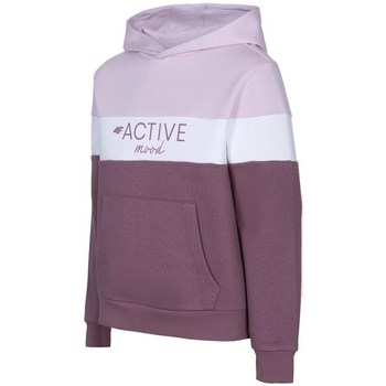 Kleidung Mädchen Sweatshirts 4F JBLD002 Violett