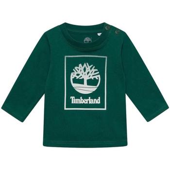 Kleidung Jungen T-Shirts Timberland  Grün