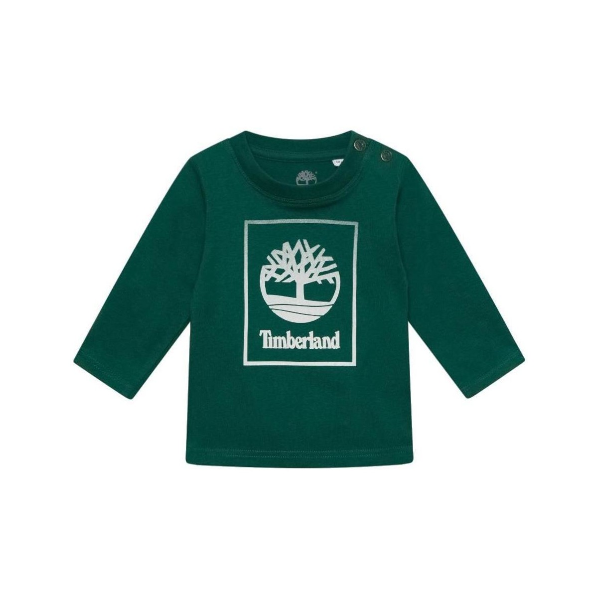 Kleidung Jungen T-Shirts Timberland  Grün