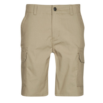 Kleidung Herren Shorts / Bermudas Dickies MILLERVILLE SHORT Beige