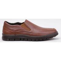 Schuhe Herren Derby-Schuhe & Richelieu Cossimo 2201 Braun