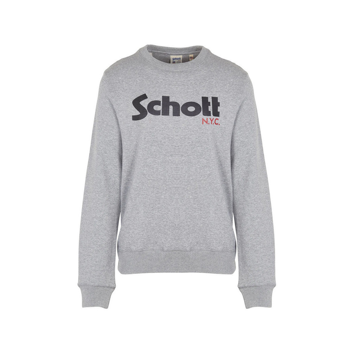 Kleidung Damen Sweatshirts Schott SWGINGER1W Grau