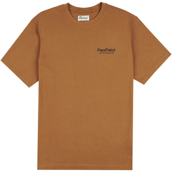 Kleidung Herren T-Shirts & Poloshirts Penfield T-shirt  Arc Mountain Back Graphic Braun