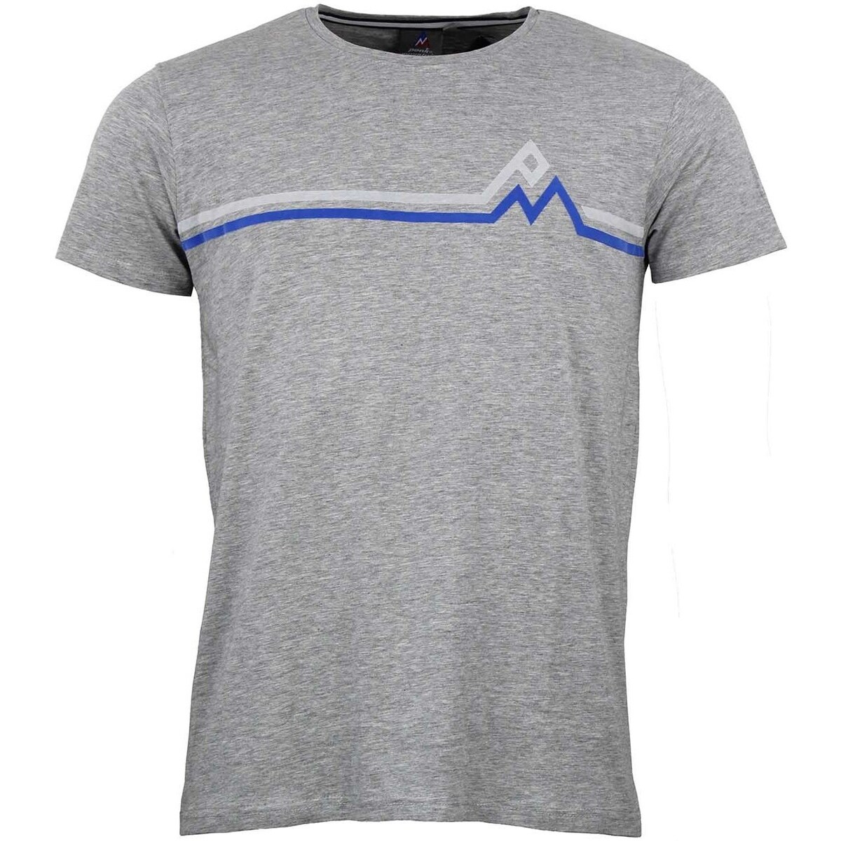 Kleidung Herren T-Shirts Peak Mountain T-shirt manches courtes homme CASA Grau