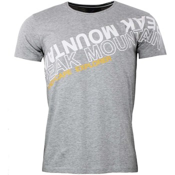 Kleidung Herren T-Shirts Peak Mountain T-shirt manches courtes homme CYCLONE Grau