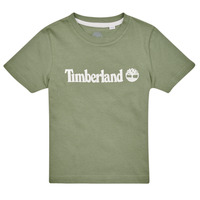 Kleidung Jungen T-Shirts Timberland T25T77 Kaki