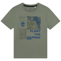 Kleidung Jungen T-Shirts Timberland T25T87 Kaki
