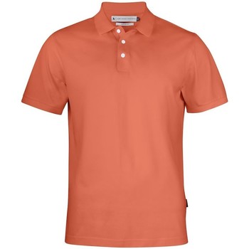 Kleidung Herren Polohemden James Harvest  Orange