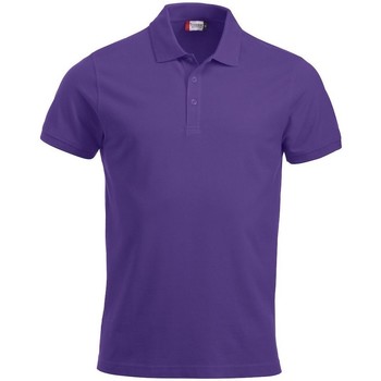 Kleidung Herren Polohemden C-Clique  Violett