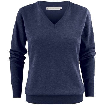 Kleidung Damen Sweatshirts James Harvest  Blau