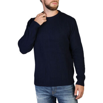 Kleidung Herren Pullover 100% Cashmere - c-neck-m Blau