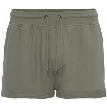 Kleidung Damen Shorts / Bermudas Colorful Standard Short femme  Organic dusty olive Grün
