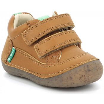 Schuhe Jungen Boots Kickers Sostankro Braun