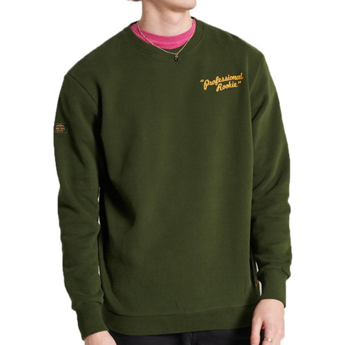 Kleidung Herren Sweatshirts Superdry M2010995A Grün
