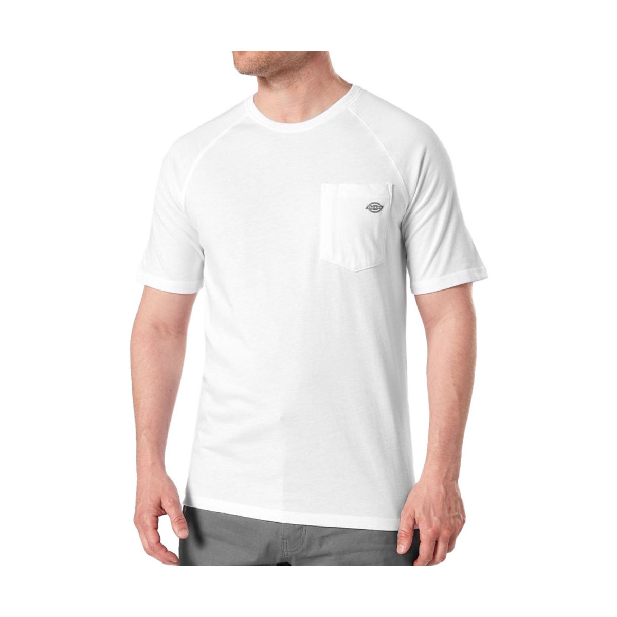 Kleidung Herren T-Shirts & Poloshirts Dickies DK0A4XUTWHX Weiss