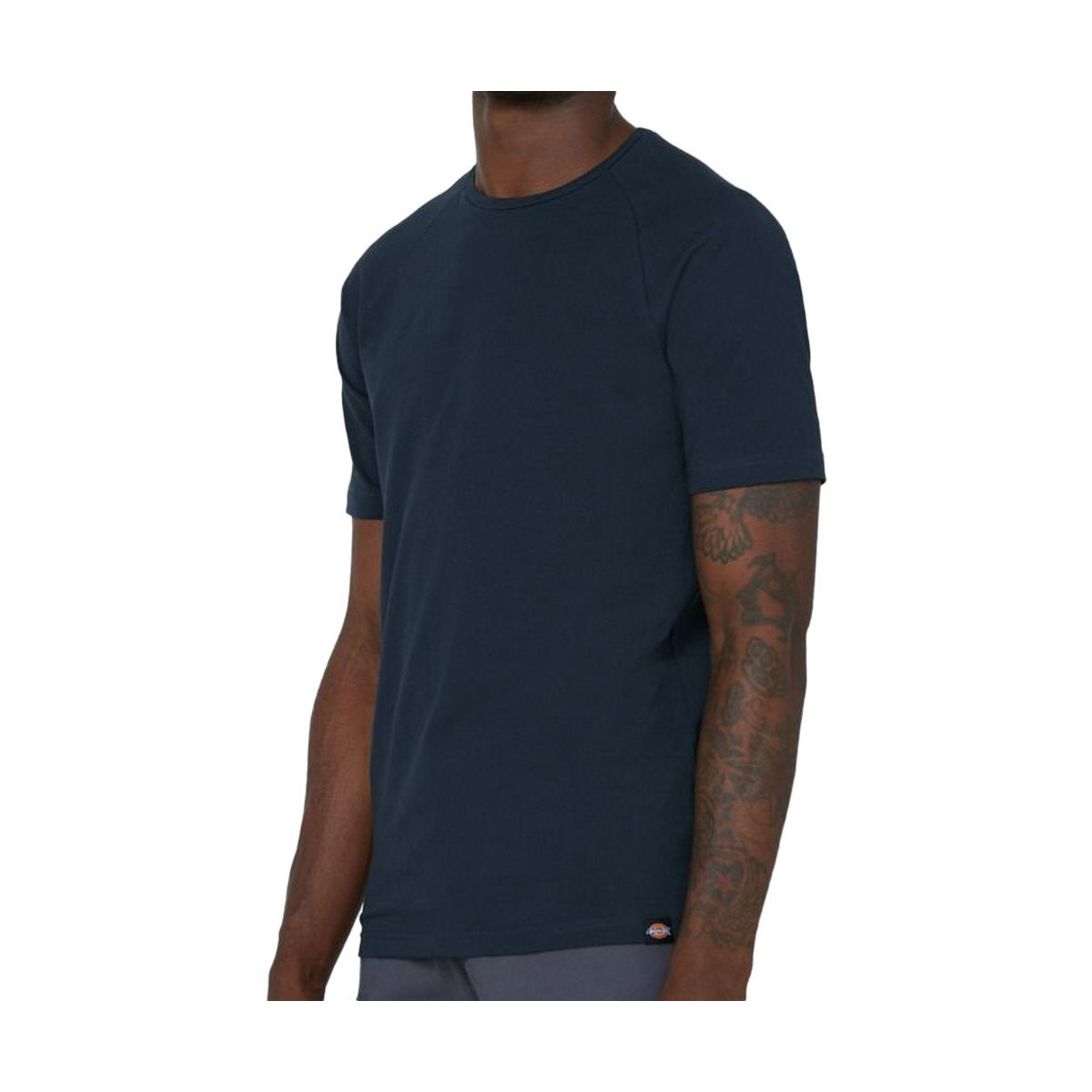 Kleidung Herren T-Shirts & Poloshirts Dickies DK0A4XU3NV0 Blau
