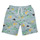Kleidung Jungen Badeanzug /Badeshorts Petit Bateau FLOTTEUR Multicolor