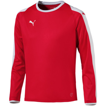 Kleidung Jungen T-Shirts & Poloshirts Puma 703421-01 Rot