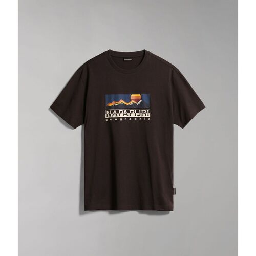Kleidung T-Shirts & Poloshirts Napapijri S-FREESTTLE SS - NP0A4GM4WA91-BROWN Braun