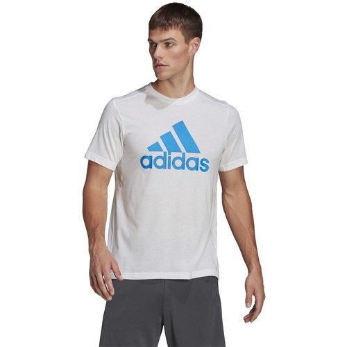 Kleidung Herren T-Shirts adidas Originals Aeroready Designed 2 Move Weiss