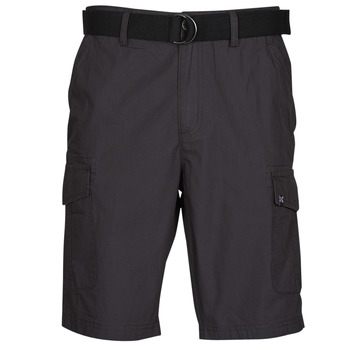 Kleidung Herren Shorts / Bermudas Oxbow P10RAGO Grau