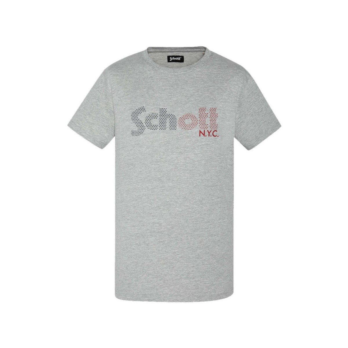 Kleidung Herren T-Shirts & Poloshirts Schott TSSTAR22 Grau