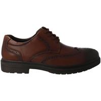 Schuhe Herren Derby-Schuhe & Richelieu Comfort  Braun