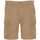 Kleidung Herren Shorts / Bermudas Schott TRBURBON30CA Beige