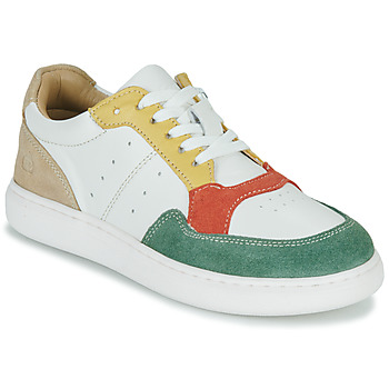 Schuhe Jungen Sneaker Low Citrouille et Compagnie FITOS Grün / Multicolor