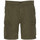 Kleidung Herren Shorts / Bermudas Schott TRBURBON30CA Grün