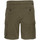 Kleidung Herren Shorts / Bermudas Schott TRBURBON30CA Grün