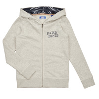 Kleidung Jungen Sweatshirts Jack & Jones JORCRAYON SWEAT ZIP HOOD Beige