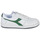 Schuhe Sneaker Low Diadora MAGIC BASKET LOW ICONA Weiss / Grün