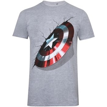 Kleidung Herren Langarmshirts Captain America  Grau