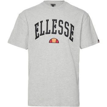 Kleidung Herren T-Shirts Ellesse 199496 Grau
