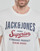 Kleidung Herren T-Shirts Jack & Jones JJELOGO TEE SS O-NECK Naturfarben