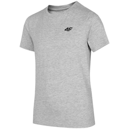 Kleidung Jungen T-Shirts 4F JTSM001 Grau