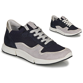 Schuhe Damen Sneaker Low Adige VALDA Marine / Grau